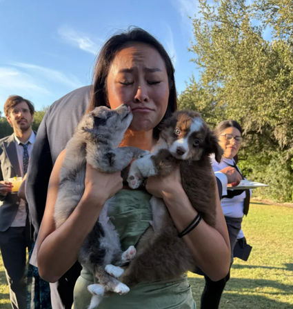 Puppy Cuddles Experience for Weddings, Bachelorettes & Group Events image 1