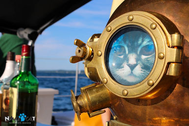 Happy Hour Sailing Cruise with Cash Bar image 17