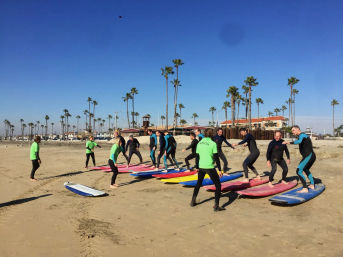 Surfing or Paddle Boarding Lessons at Laguna Beach: Reefs, Hidden Beaches, Dolphins, Marine Life, and More image 18