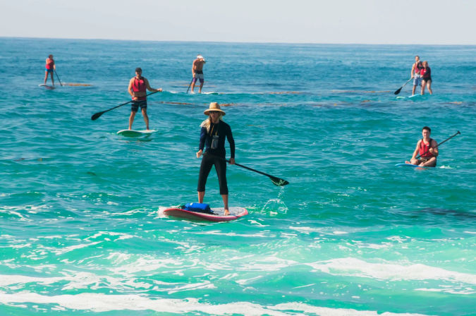 Surfing or Paddle Boarding Lessons at Laguna Beach: Reefs, Hidden Beaches, Dolphins, Marine Life, and More image 19
