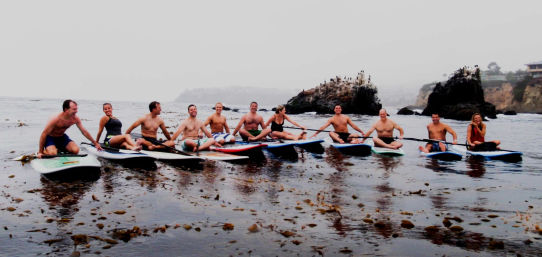 Surfing or Paddle Boarding Lessons at Laguna Beach: Reefs, Hidden Beaches, Dolphins, Marine Life, and More image 10