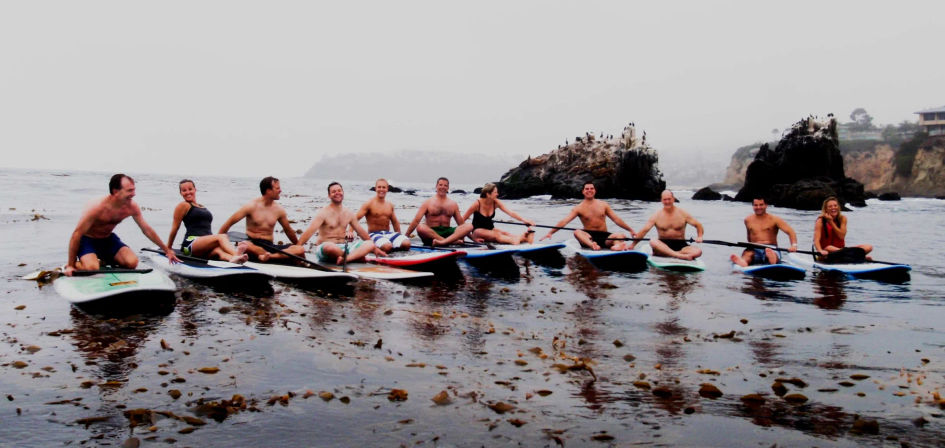 Surfing or Paddle Boarding Lessons at Laguna Beach: Reefs, Hidden Beaches, Dolphins, Marine Life, and More image 10