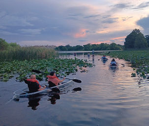 Magical Sunset Paddle: Clear Kayak or Paddleboard Experience image 7