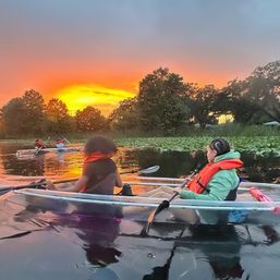 Magical Sunset Paddle: Clear Kayak or Paddleboard Experience image