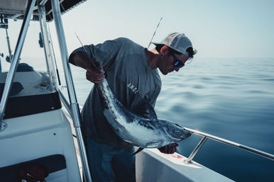 San Diego Fishing Experience with Equipment Included image 6