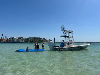 Siesta Key Charters: Snorkeling, Sand Bar Parties, Eco Tours & More image 7