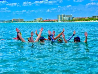 Siesta Key Charters: Snorkeling, Sand Bar Parties, Eco Tours & More image 5