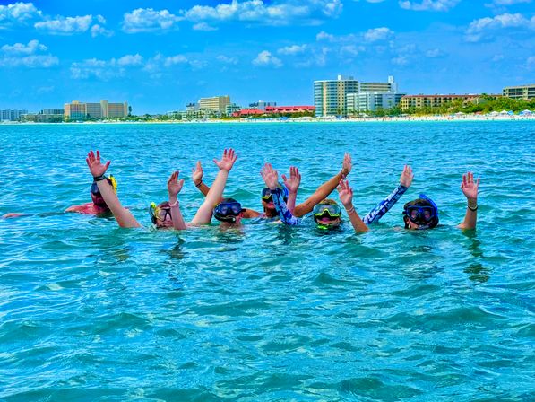 Siesta Key Charters: Snorkeling, Sand Bar Parties, Eco Tours & More image 5