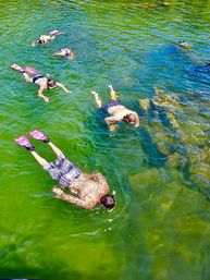 Siesta Key Charters: Snorkeling, Sand Bar Parties, Eco Tours & More image 10