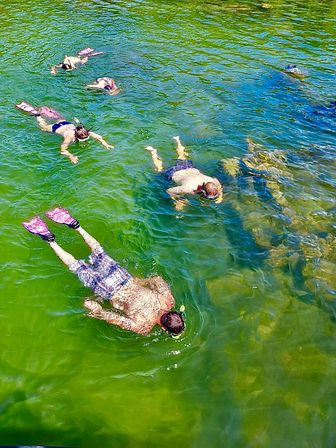 Siesta Key Charters: Snorkeling, Sand Bar Parties, Eco Tours & More image 10