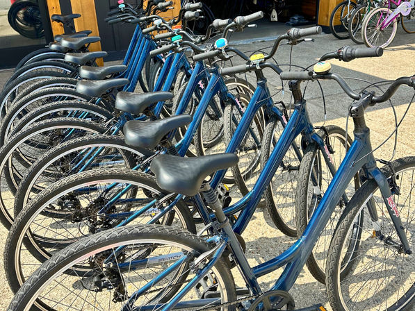 Bike & Beer Tour of Grand Haven: 3 Breweries, Beach Adventure & Local Guide image 10