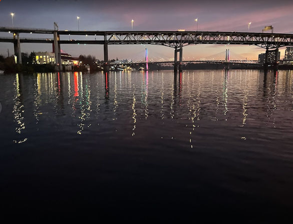 Sunset & City Lights Private BYOB Tour of Willamette River (Up to 6 Passengers) image 11