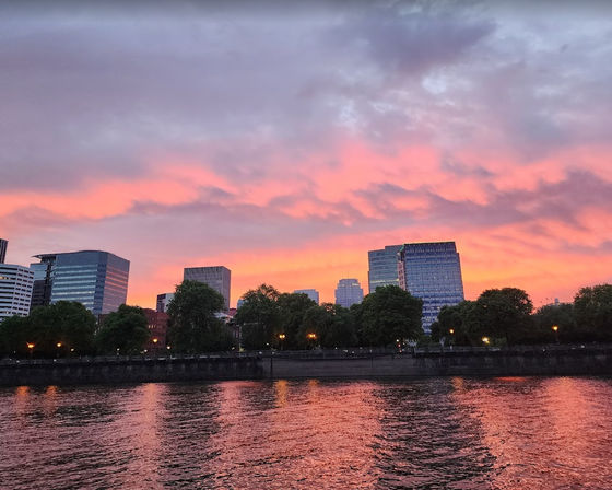 Sunset & City Lights Private BYOB Tour of Willamette River (Up to 6 Passengers) image 7