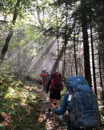 Great Smoky Mountains Waterfall Hiking Tour with Expert Guide image 5