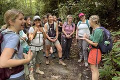 Thumbnail image for Great Smoky Mountains Waterfall Hiking Tour with Expert Guide