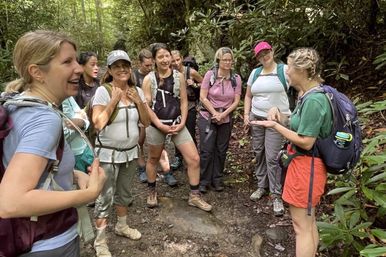 Great Smoky Mountains Waterfall Hiking Tour with Expert Guide image