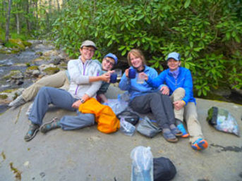 Great Smoky Mountains Waterfall Hiking Tour with Expert Guide image 3