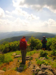 Great Smoky Mountains Waterfall Hiking Tour with Expert Guide image 12