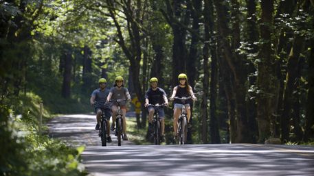 Multnomah Falls E-Bike Tours image 3