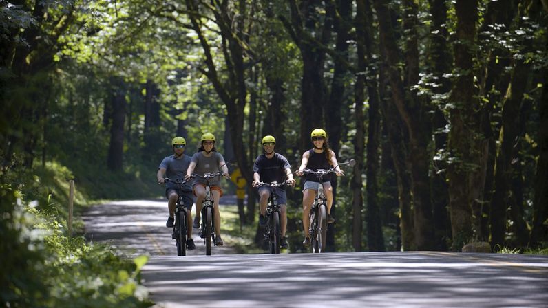 Multnomah Falls E-Bike Tours image 3