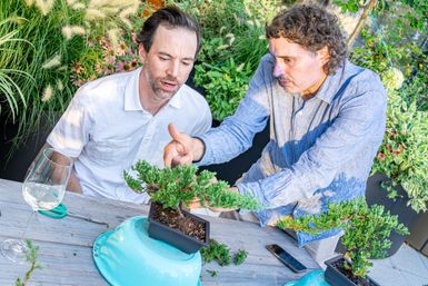 Two men on an outdoor patio styling a miniature evergreen bonsai, one pointing while the other adjusts branches with pruning tools and a wine glass nearby.