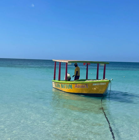Ultimate Day Tour to Negril: Seven Mile Beach, Snorkeling, Boat Ride + Ricks Cafe image 9