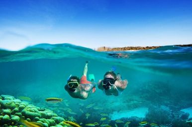 Ultimate Day Tour to Negril: Seven Mile Beach, Snorkeling, Boat Ride + Ricks Cafe image 5