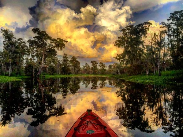 Manchac Swamp Kayak Tours Near New Orleans: Wildlife & Eco Adventures (2-Hour & Extended Options) image 3