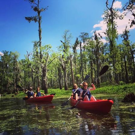 Manchac Swamp Kayak Tours Near New Orleans: Wildlife & Eco Adventures (2-Hour & Extended Options) image 2
