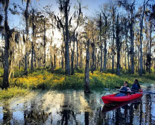 Manchac Swamp Kayak Tours Near New Orleans: Wildlife & Eco Adventures (2-Hour & Extended Options) image