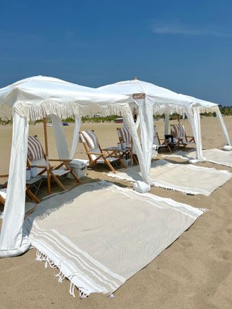 Luxury Beach Set-Ups: Elevate Your Beach Day Celebration image 2