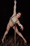 Thumbnail image for Sexy BYOB Private Pole Dance Party for Your Inner Diva