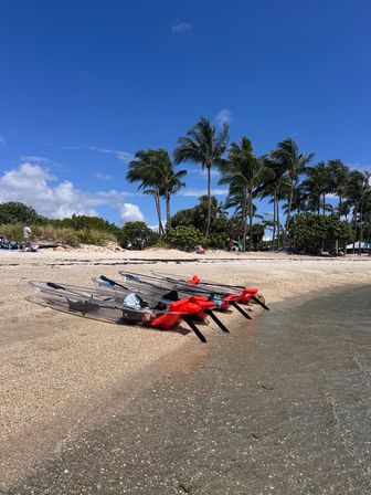 Clear Kayak Guided Tour: Paddle to Peanut Island image 5