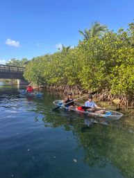 Clear Kayak Guided Tour: Paddle to Peanut Island image 11