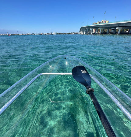 Clear Kayak Guided Tour: Paddle to Peanut Island image 1