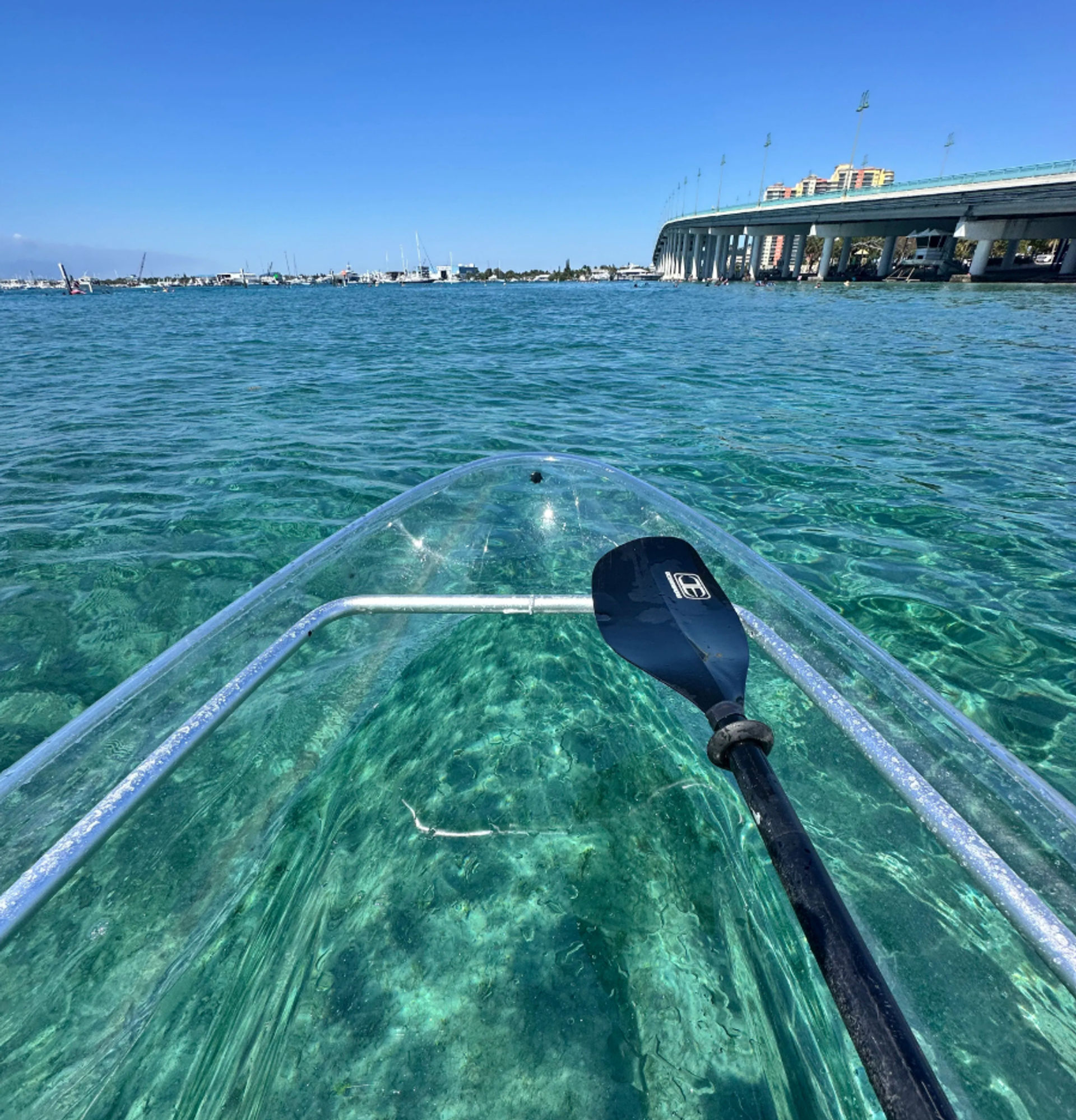 Clear Kayak Guided Tour: Paddle to Peanut Island image 1