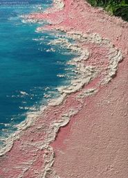 Hands-On Creative Workshop: Natural Quartz Sand Texture Art image 3