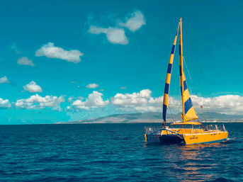 Private Honolulu Sunset Sail at Kewalo Basin Harbor with Complimentary Drinks (Up to 49 Passengers) image 20