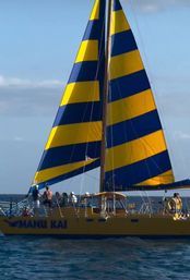 Private Honolulu Sunset Sail at Kewalo Basin Harbor with Complimentary Drinks (Up to 49 Passengers) image 3