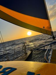 Private Honolulu Sunset Sail at Kewalo Basin Harbor with Complimentary Drinks (Up to 49 Passengers) image 12