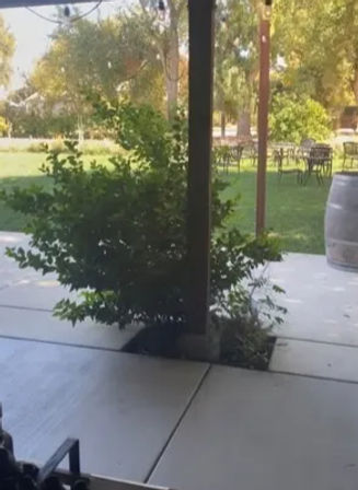 Wine Tasting Yoga Retreat in Winters, CA - October 16th -19th 2025 & November 13th-16th 2025 - 1 & 2 Night Stays Available image 24