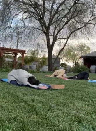 Wine Tasting Yoga Retreat in Winters, CA - October 16th -19th 2025 & November 13th-16th 2025 - 1 & 2 Night Stays Available image 8