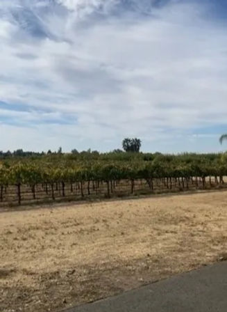 Wine Tasting Yoga Retreat in Winters, CA - October 16th -19th 2025 & November 13th-16th 2025 - 1 & 2 Night Stays Available image 23