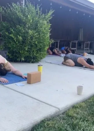 Wine Tasting Yoga Retreat in Winters, CA - October 16th -19th 2025 & November 13th-16th 2025 - 1 & 2 Night Stays Available image 19