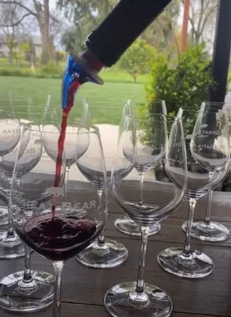 Wine Tasting Yoga Retreat in Winters, CA - October 16th -19th 2025 & November 13th-16th 2025 - 1 & 2 Night Stays Available image 17