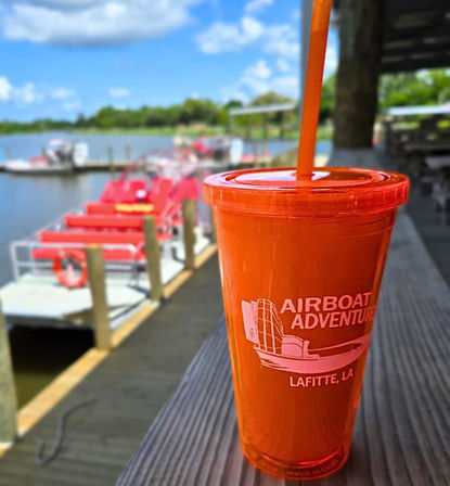 Small Boat, Big Fun: Private Airboat Experience with Gators & Bayou Views image 4