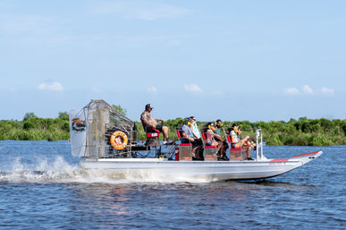 Small Boat, Big Fun: Private Airboat Experience with Gators & Bayou Views image