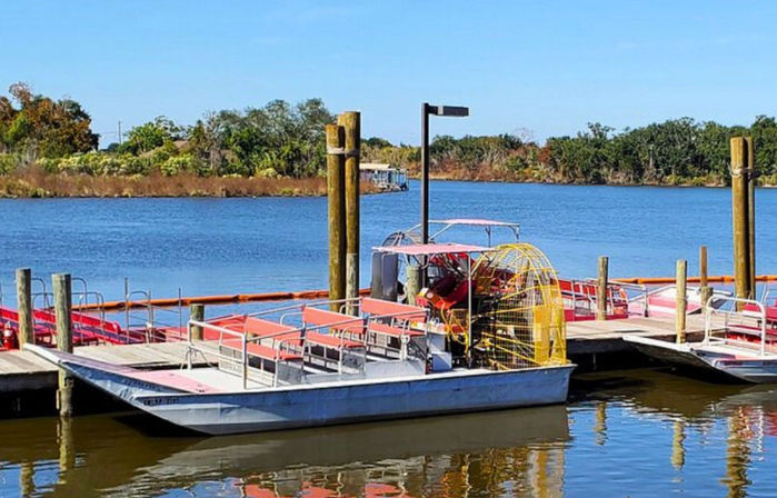 Small Boat, Big Fun: Private Airboat Experience with Gators & Bayou Views image 3