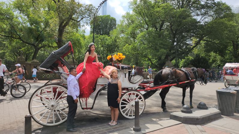 Scenic Horse Carriage Rides to Central Park, Rockefeller & Times Square image 2