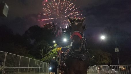 Scenic Horse Carriage Rides to Central Park, Rockefeller & Times Square image 10